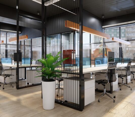 Skąd się biorą ziemiórki w biurowych doniczkach