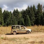 Auto na leśnej drodze gruntowej wśród gęstych drzew iglastych