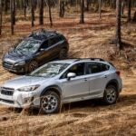 Dwa SUV-y w gęstym lesie jadą po nierównym terenie, off-road