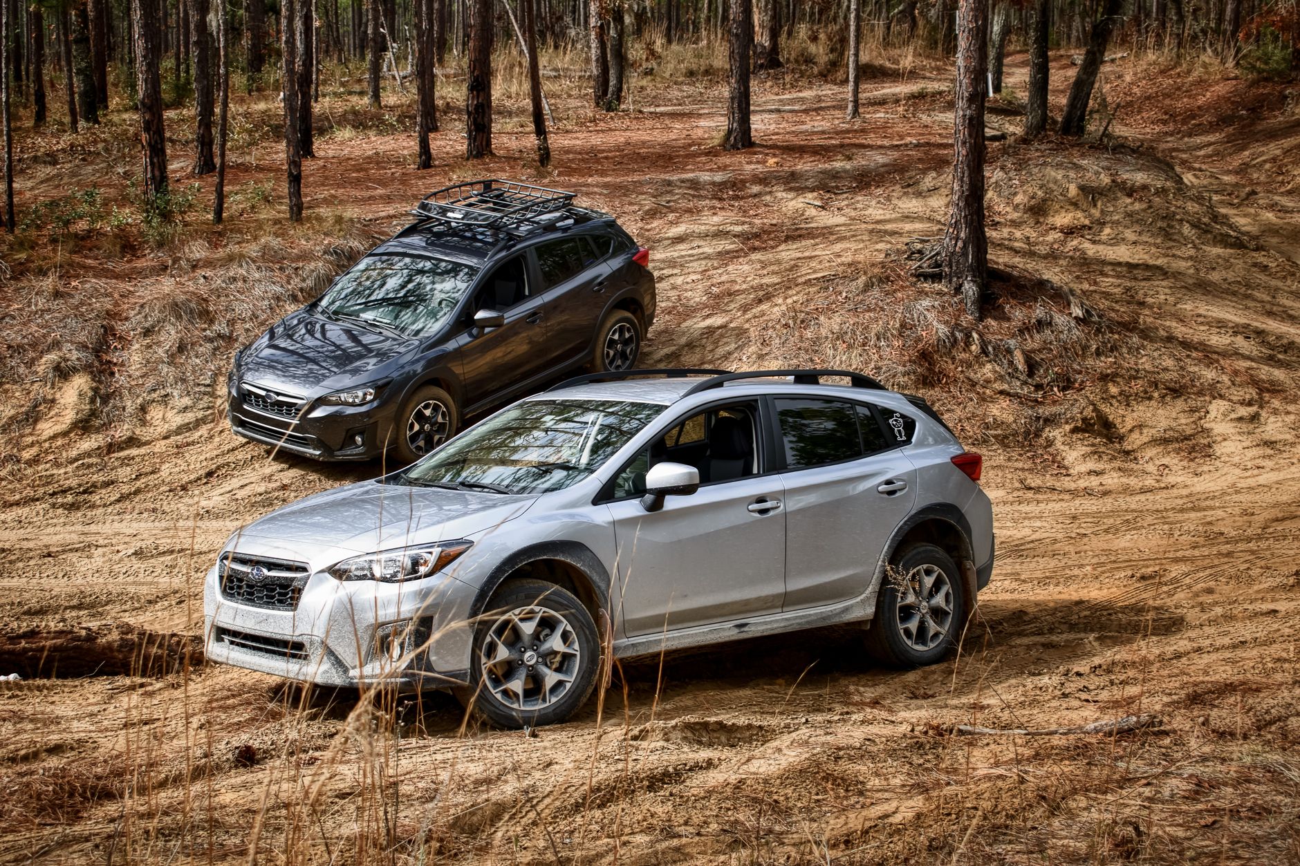 Dwa SUV-y w gęstym lesie jadą po nierównym terenie, off-road