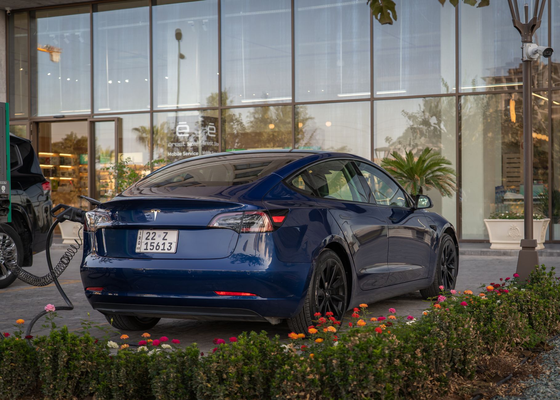 Niebieska Tesla Model 3 ładuje się przy stacji wśród kwiatów